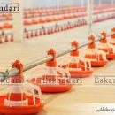 آبخوری ودانخوری هواکش آسیاب میکسر انتقال دان 