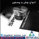 بوش پیستوناسپیکال