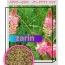 بذریونجه پایه بلند گرمسیری ومعتدل بذرشبدر بذراسپرس فروش بذریونجه سورت شده وبوجاری شده