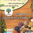 بذر پیازرقم سوییت اسپانیش-بذرنخود نصرت-بذریونجه-بذرلوبیاسبزلهستانی