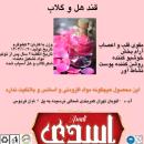 تولید کننده کله قند و قند ساب مخصوص عقد و قندطعم دار و انواع نبات