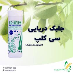 جلبک دریایی سی کلپ