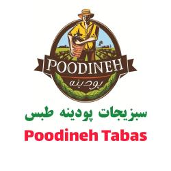 انواع سبزیحات خشک فله و بسته بتدی،خرده و عمده