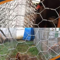 تولید کننده توری مرغی سبک و سنگین 