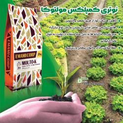 نوتری کمپلکس مولتوکا 33-0-6 (NUTRICOMPLEX MULTO-K)