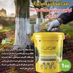 رنگ محافظ تنه پدیده