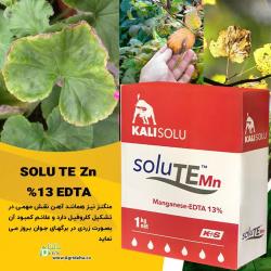 SOLU TE Mn 13% EDTA
