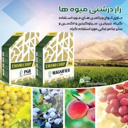 پی جی آر و مگنی فایر