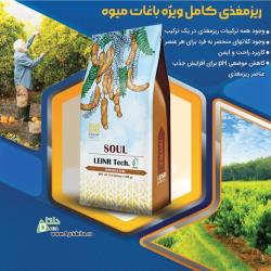  سول (SOUL) امامی کورپ