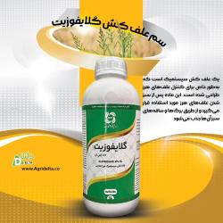 گلایفوزیت