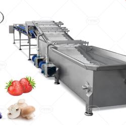 سازنده ماشین آلات خط شستشو مکانیزه و بسته بندی هویج و سبزیجات 