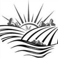 شرکت ایران دروگر