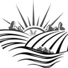 شرکت ایران دروگر