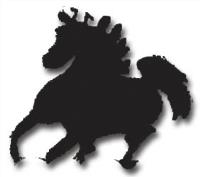 شرکت چابکسواران ایل (سهامی خاص)