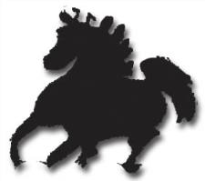 شرکت چابکسواران ایل (سهامی خاص)