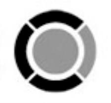 سبدگردان کاریزما